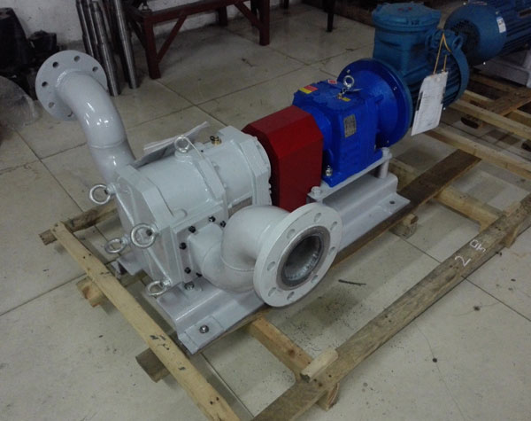 轉(zhuǎn)子泵廠家哪家好?怎么守護(hù)市場?