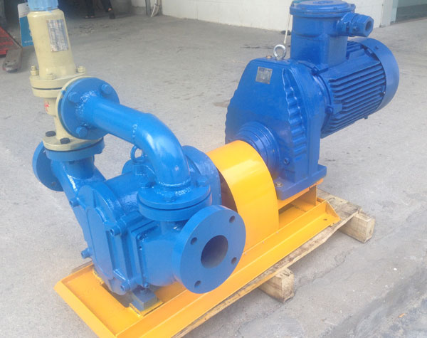 凸輪轉子泵廠家哪家好?要怎么看？