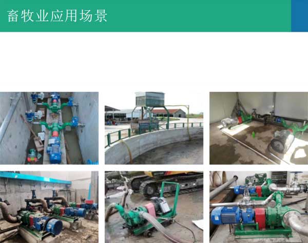 雞糞泵是否能夠長久使用?運行穩定性怎么樣