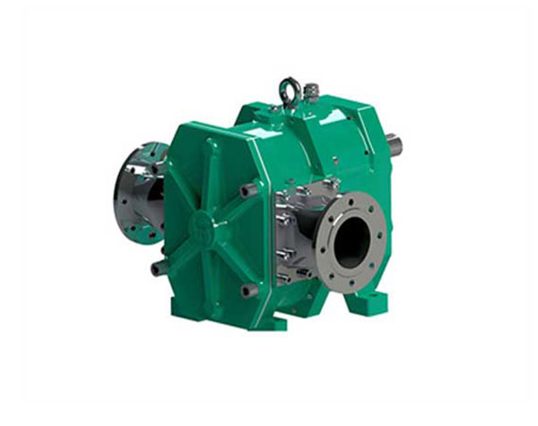 轉(zhuǎn)子泵廠家 轉(zhuǎn)子泵廠家